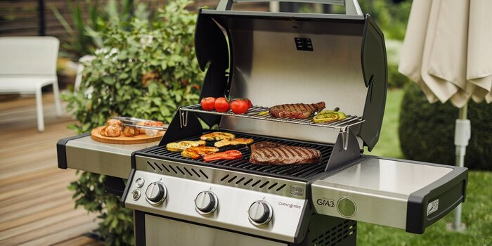 Two Burner Portable Gas Grill